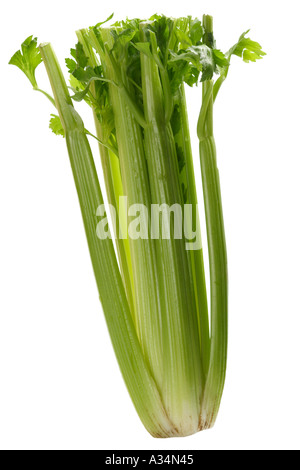 Celery Stock Photo