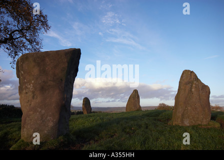 The four remaining stones of Nine Stones Close stone circle in a field ...