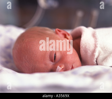 Premature baby sleeping in incubator Stock Photo