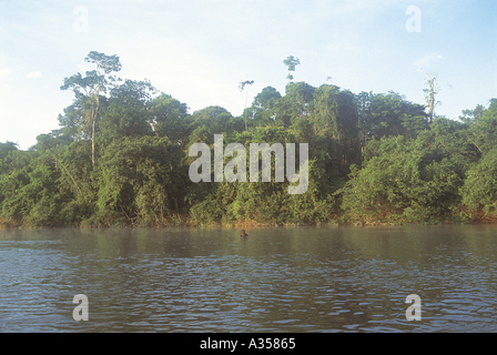 A Ukre village Brazil Kayapo Indian man swimming in the river with the rainforest behind Xingu Indigenous Reserve Stock Photo
