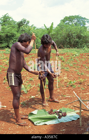 A Ukre village Brazil Kayapo men serving barbecued wild peccary onto a banana leaf Xingu Indigenous Reserve Stock Photo