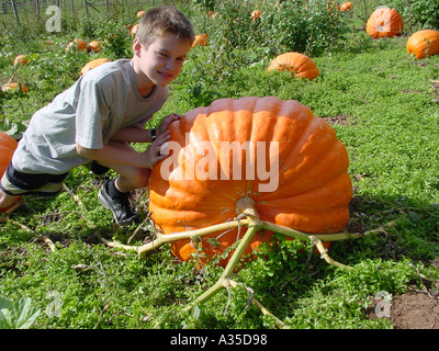 Giant Pumpkin At The World S Largest Pumpkin Exhibition In