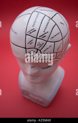 Phrenology head Science of morphology of skull Discovered by Austrian Franz Joseph Gall Stock Photo
