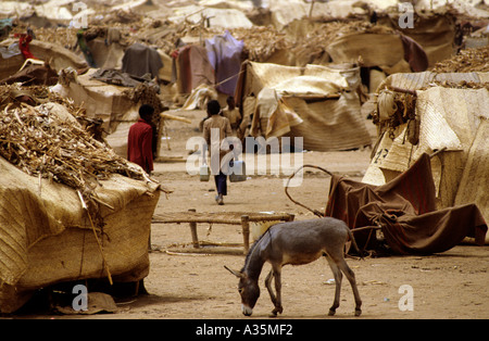 Sudan, Famine, 1985. Refugee Camp at El Fasher in the Darfur region of western Sudan Stock Photo