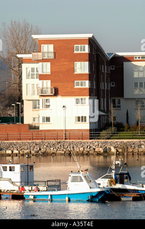 Modern apartment buildings overlooking Cardiff Bay waterfront in early morning light with moored pleasure boats Stock Photo