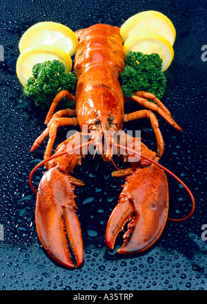 Hummer, lobster with lemon and parsley Stock Photo