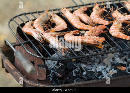 Shrimps on a BBQ grill Stock Photo