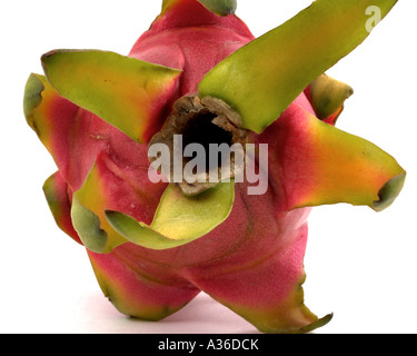 Dragon Fruit by Clive Rowley Stock Photo