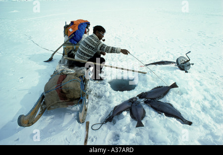 Inuit deep sea fishing for Halibut through holes in sea ice Quernalursavik in East Greenland, dogs are smaller Stock Photo