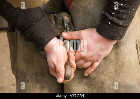 Cutting back horses hoof before fitting new shoe Stock Photo