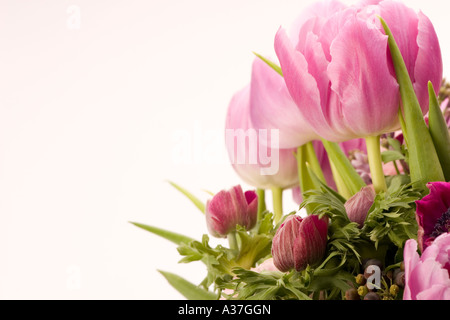 Tulip, Anemone, Lilac & Berries Stock Photo