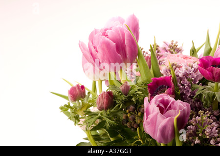 Tulip, Anemone, Lilac & Berries Stock Photo