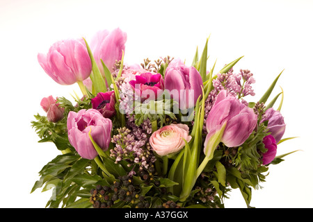 Tulip, Anemone, Lilac & Berries Stock Photo