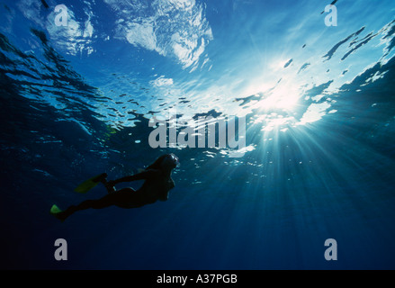 Grand Cayman Bonnie s Arch underwater woman snorkeler freediving sun on water s surface Stock Photo