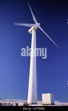 Wind turbine generating electricity for Scottish Power Renewables on Hare Hill Scotland UK Stock Photo