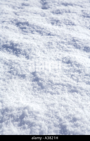 Fresh snow in detail Stock Photo - Alamy