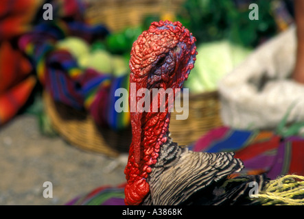 turkey, central market, city of Coban, Coban, Alta Verapaz Alta Verapaz Department, Guatemala, Central America Stock Photo