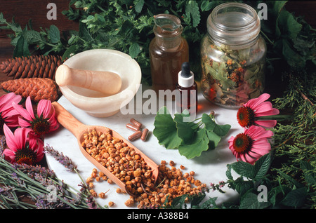 Medicinal herbs Stock Photo