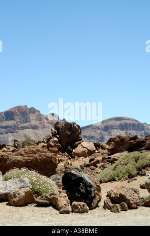 Lava of extinct volcano in valley on the Canary Island. Volcanic coast ...
