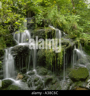 Waterfall in The Birks of Aberfeldy Aberfeldy Scotland Stock Photo