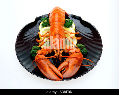 Hummer, lobster with lemon and parsley Stock Photo