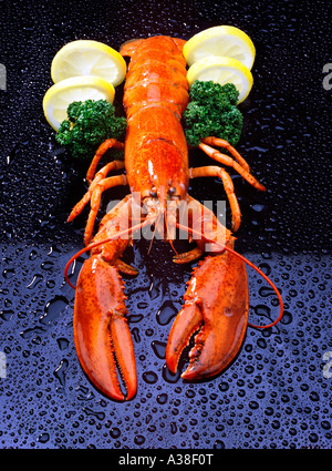 Hummer, lobster with lemon and parsley Stock Photo