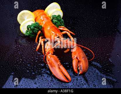 Hummer, lobster with lemon and parsley Stock Photo