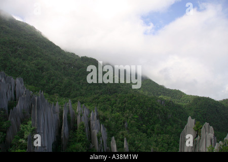 The Pinnacles stone forest on Gunung Api, in Gunung Mulu National Park, Sarawak, Borneo, Malaysia Stock Photo