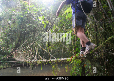 Rope bridge crossing a river on the path of the Headhunters' Trail in Gunung Mulu National Park, Sarawak, Borneo, Malaysia Stock Photo