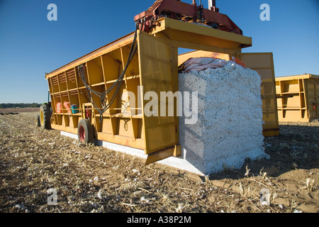 Module builder, compactor, cotton harvest, Georgia Stock Photo