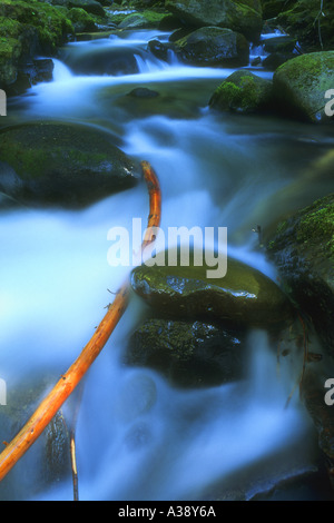 Time delay flowing river Stock Photo