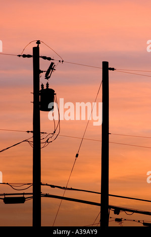 Utility poles and power lines silhouetted against evening sky Stock Photo