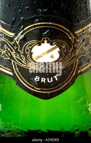 Water droplets on a green bottle of Brut champagne Stock Photo