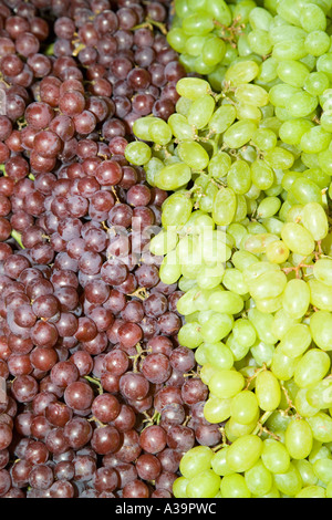 Red and white grapes vertical Stock Photo