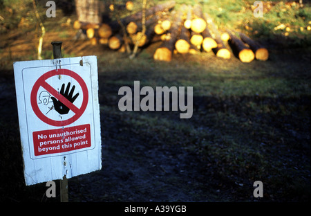 Logging in Rendlesham Forest near Woodbridge, Suffolk, UK. Stock Photo