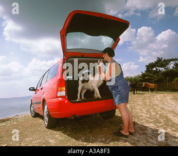 2000 Ford Focus Estate with Lady and dog Stock Photo