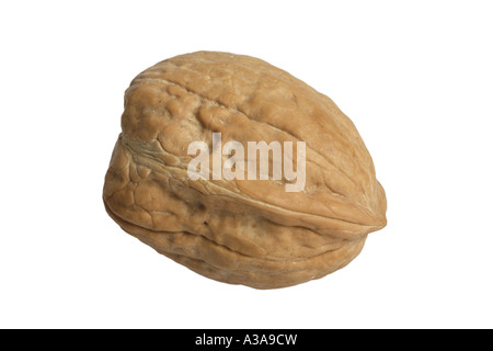 Walnut in Shell Stock Photo