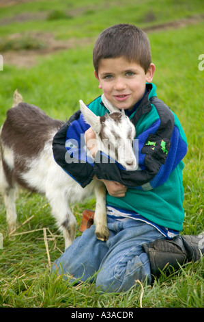 Five year old boy playing with kid, fathers dairy goat farm. Stock Photo