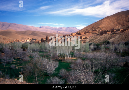 Panoramic view of oasis and Kasbah in the upper valley of the Dades Morocco Stock Photo