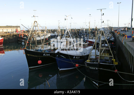 fishing boats in portavogie harbour at sunset county down northern ireland Stock Photo