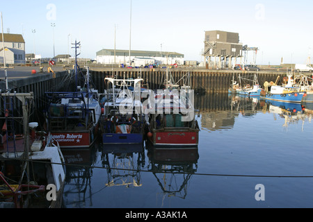 fishing boats in portavogie harbour at sunset county down northern ireland Stock Photo