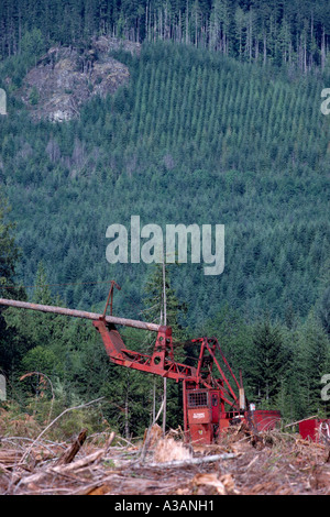 Active Logging and Reforestation on Vancouver Island, BC, British Columbia, Canada