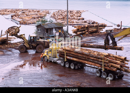 Unloading Logs from a Logging Truck at Beaver Cove Sort Yard near Telegraph Cove, BC, Vancouver Island, British Columbia, Canada Stock Photo