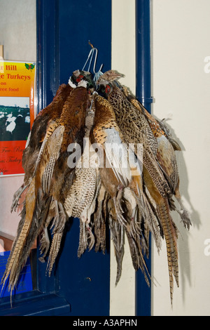 Pheasants hanging at a butcher s shop in Aberystwyth Christmas 2006, Wales,  UK. Stock Photo