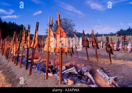 Wild Salmon Bake / Barbecue - Traditional Native Indian Style cooking over Alder Wood in Open Fire Pit, British Columbia, Canada Stock Photo