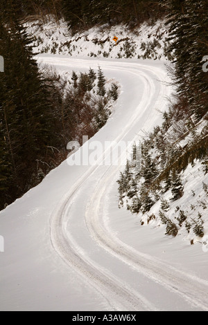 narrow Alberta logging road in winter Stock Photo