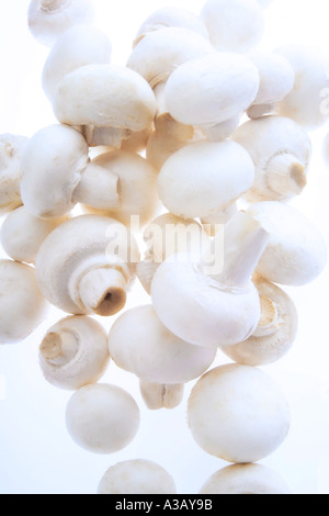 White mushrooms, close-up Stock Photo