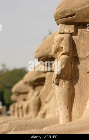 pharaoh cleopatra game road lined with statues pharaoh cleopatra game road lined with statues