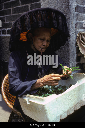 China New Territories elderly woman in large hat smoking pipe placing  vegetables in box Stock Photo - Alamy