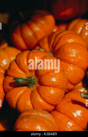 Pumpkins ready for sale at a farm stand Stock Photo - Alamy